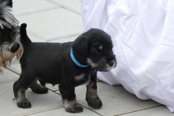 Polly R-Wurf 5 Woche 2025-04-18 001 (133)